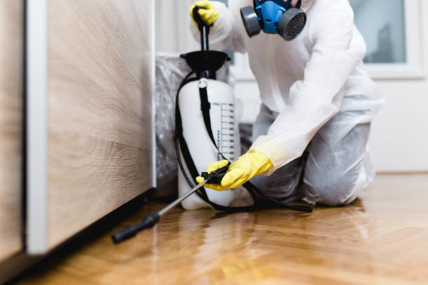 Best Insect Control  in Kewanee, IL